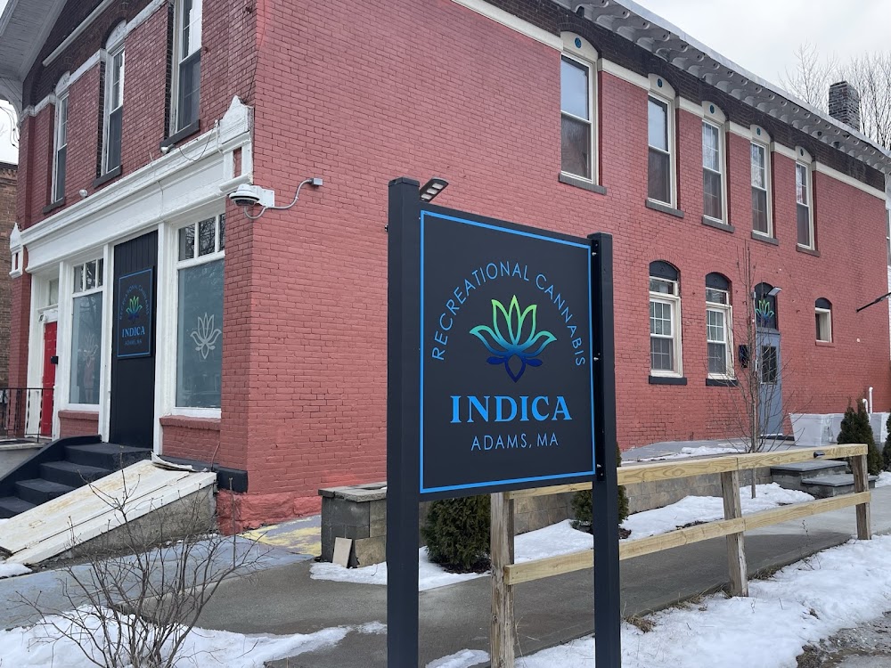Indica photo 1
