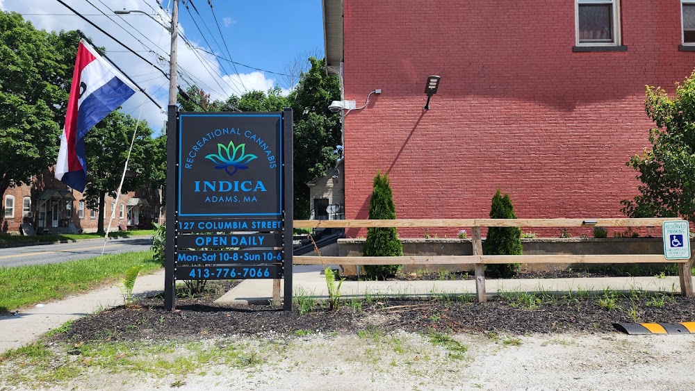 Indica photo 3