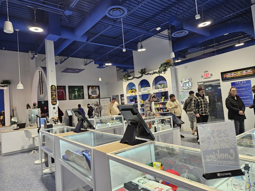 Indigo photo 2