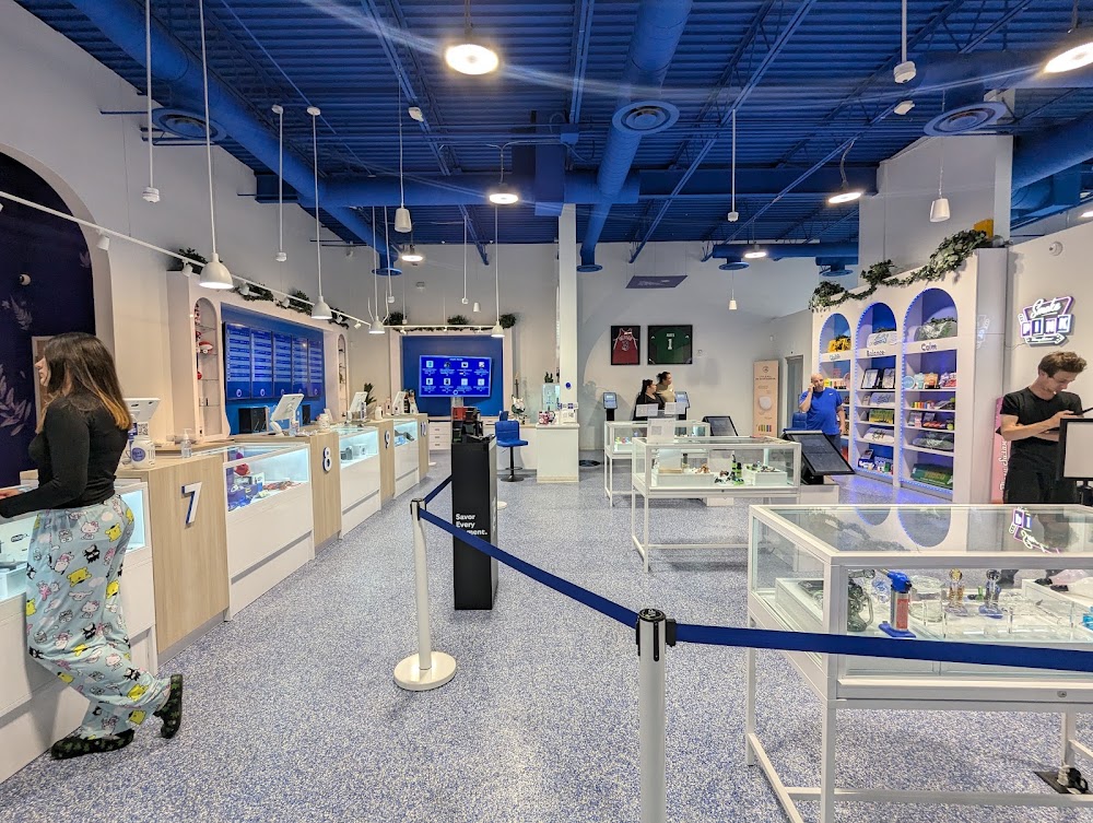 Indigo photo 5