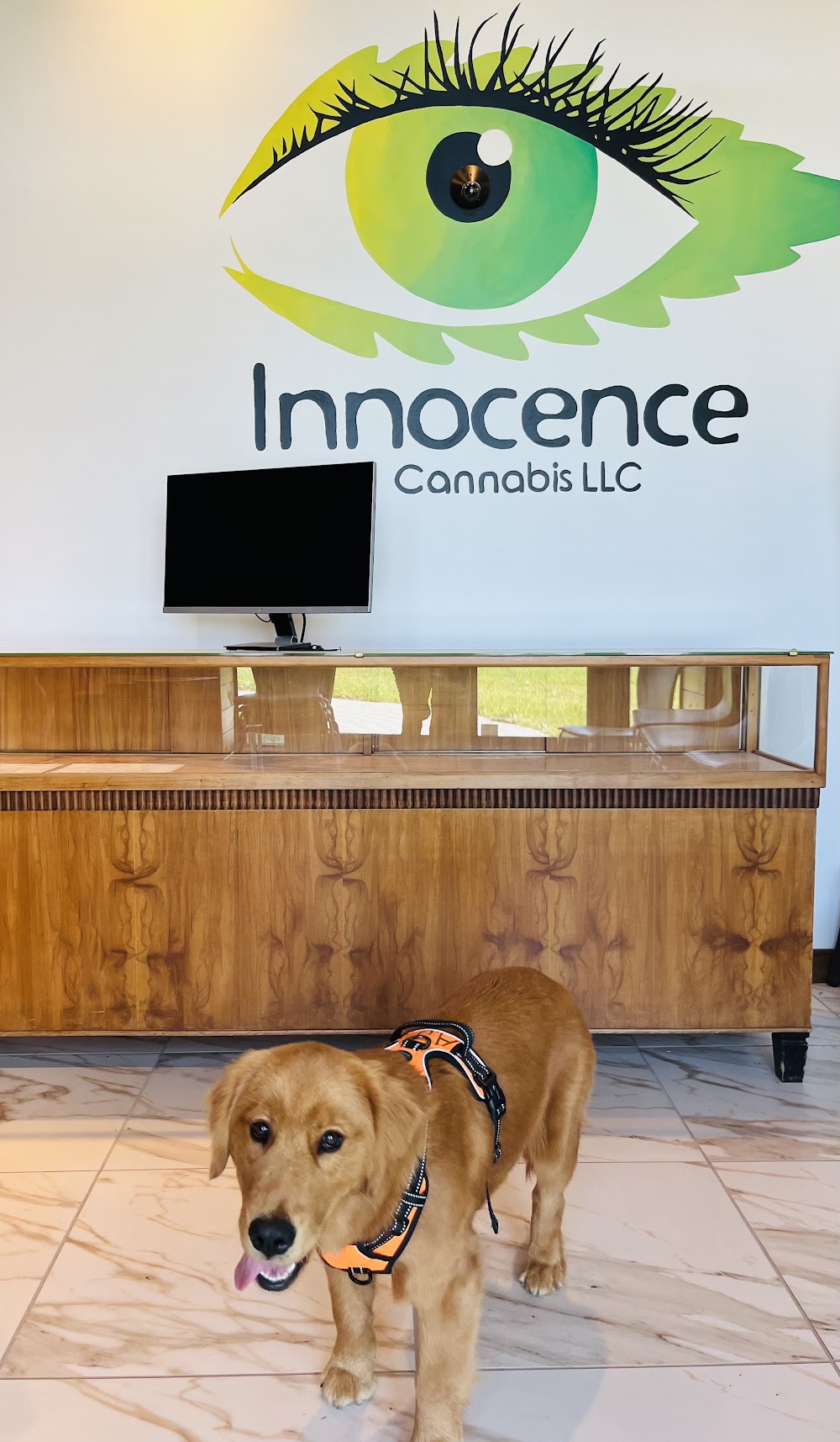 Innocence Cannabis photo 2