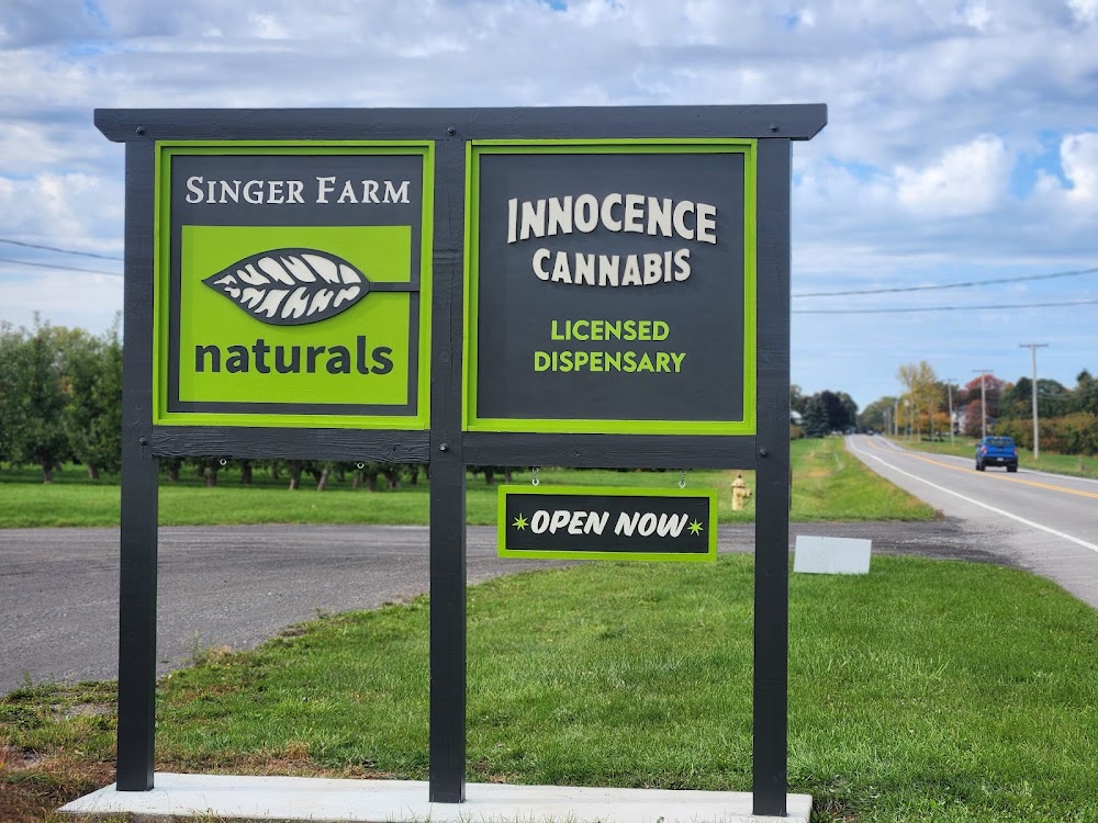 Innocence Cannabis photo 5