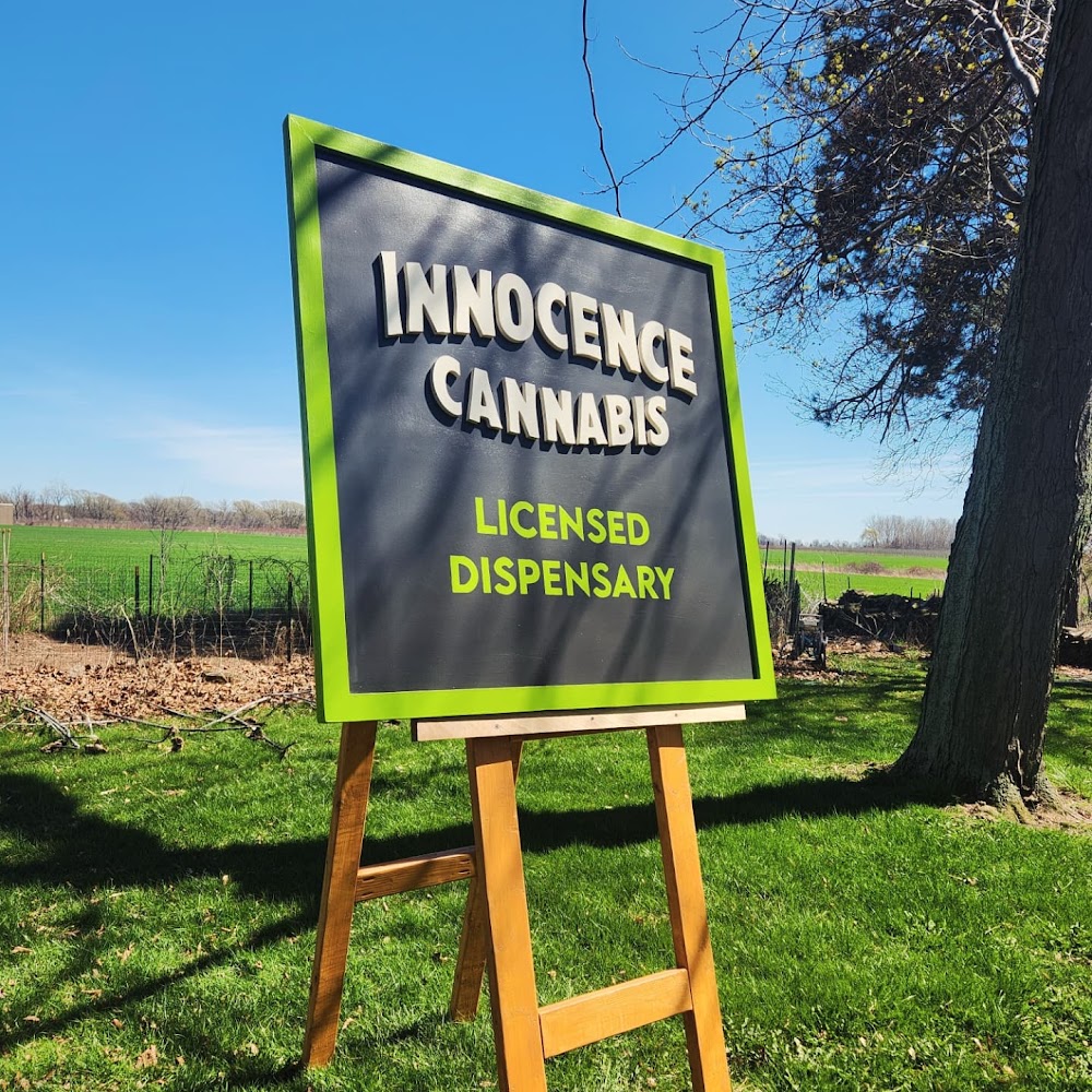 Innocence Cannabis photo 6