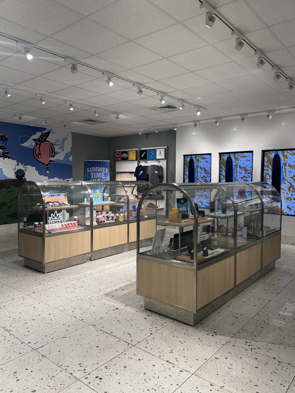 Insa Ct Retail I photo 2