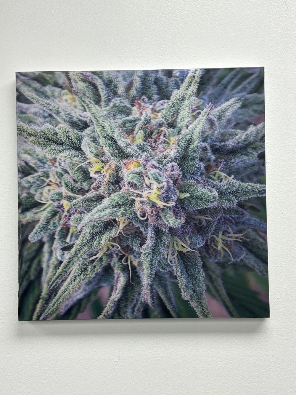 Interstate 420 photo 3