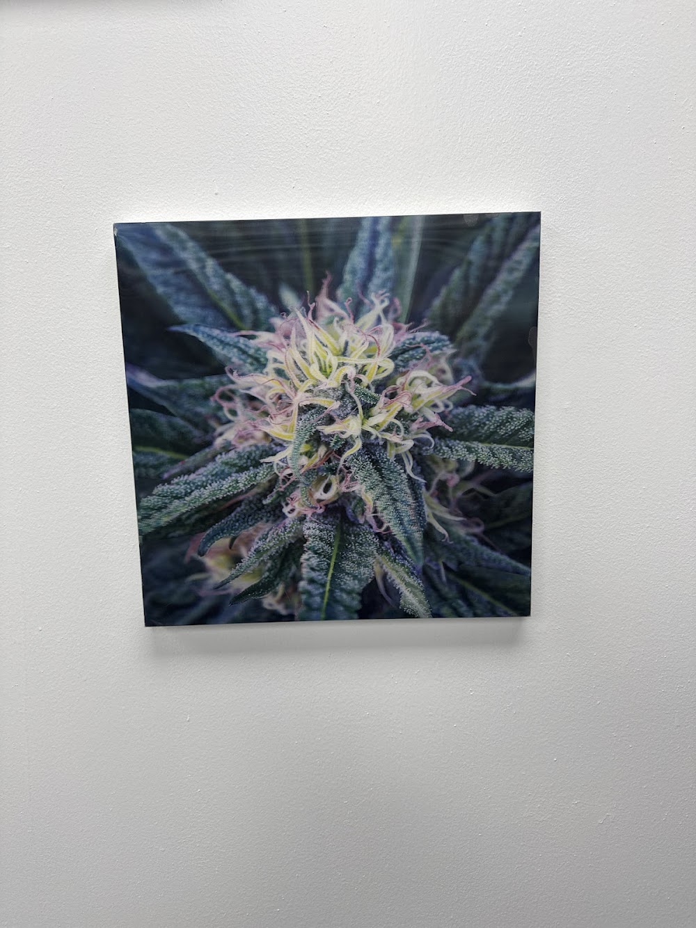 Interstate 420 photo 4