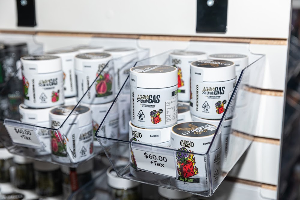 Jackpot photo 7
