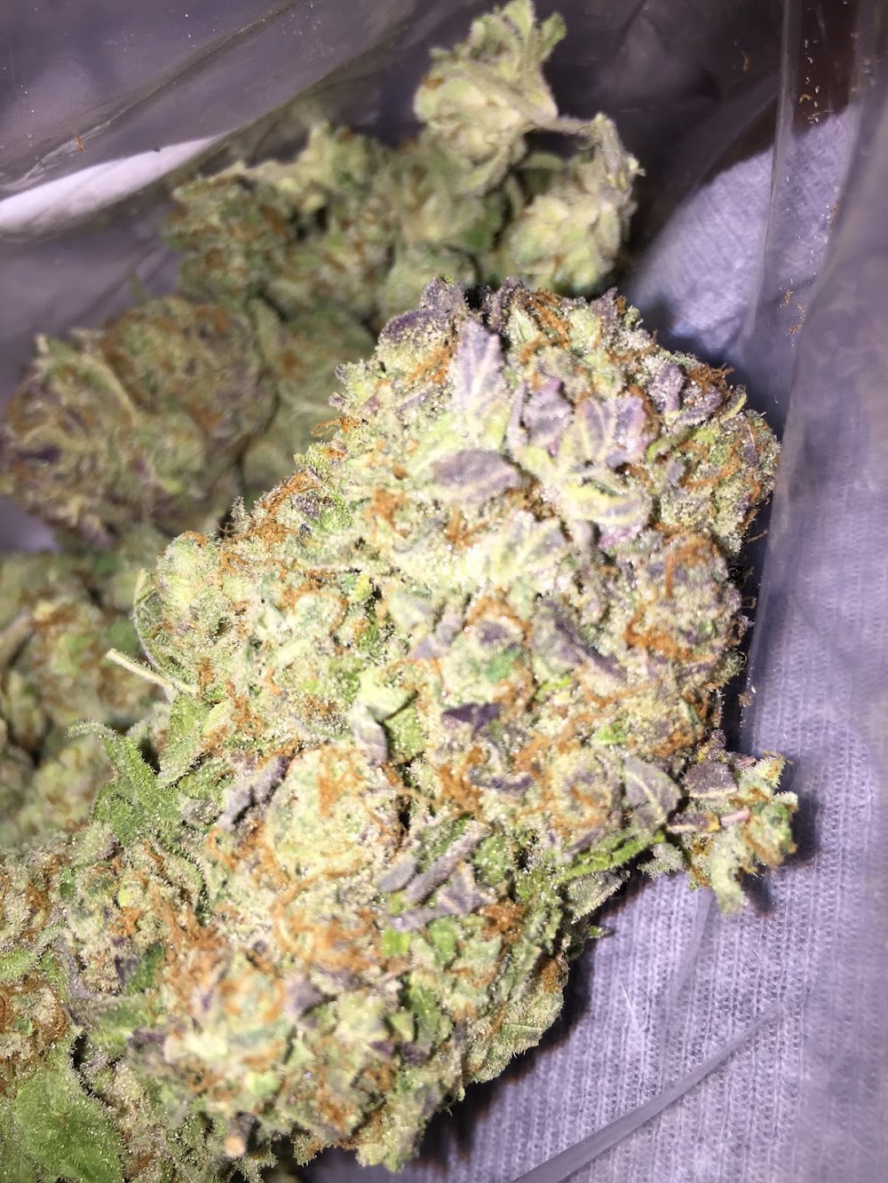 Jade Kola photo 3