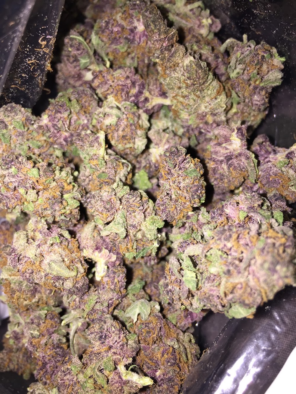 Jade Kola photo 6