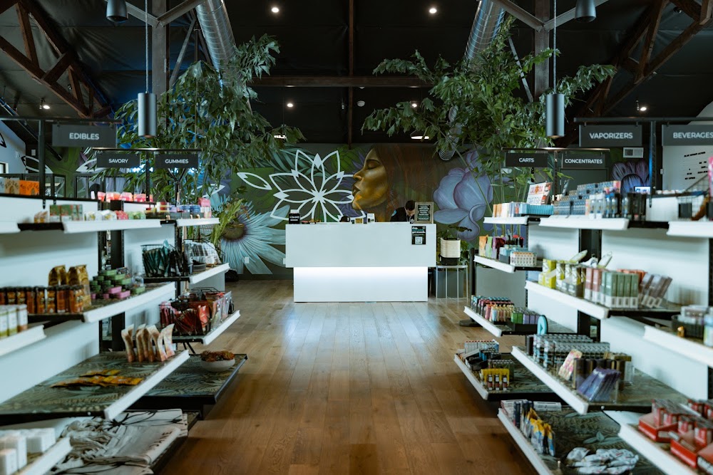 Jane Dispensary photo 5