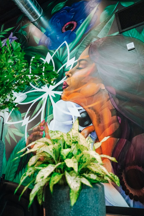 Jane Dispensary photo 4