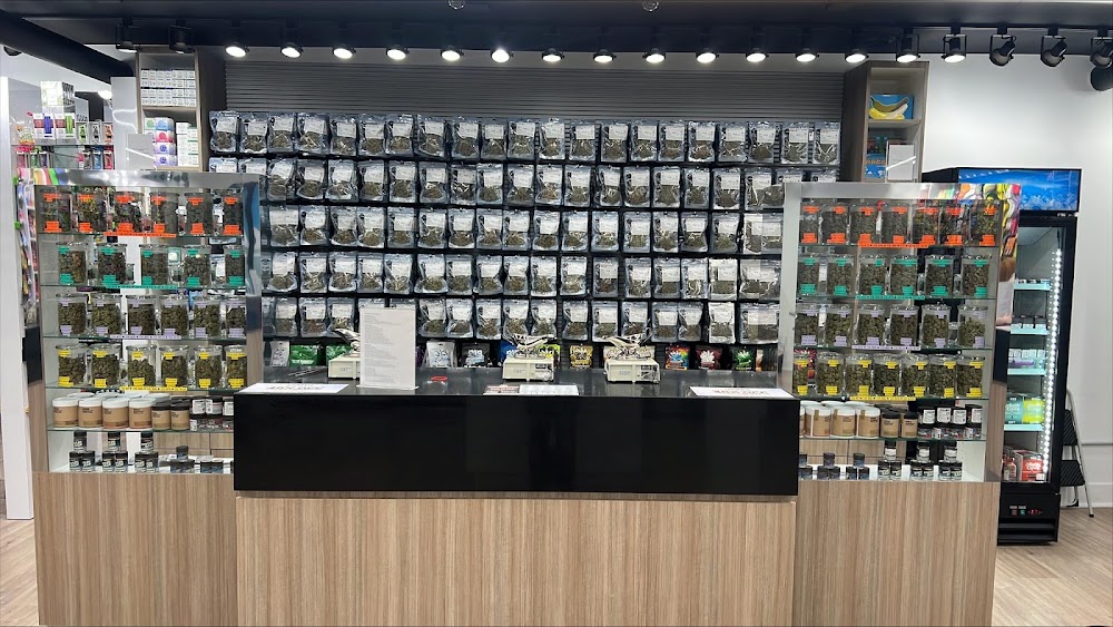 Jars Cannabis photo 5