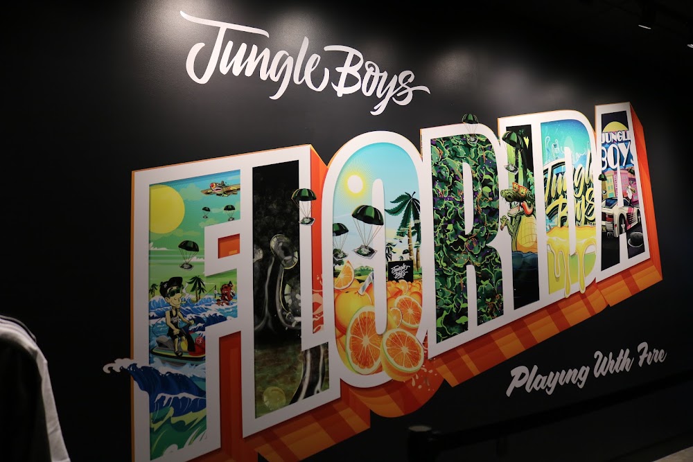 Jungle Boys photo 2