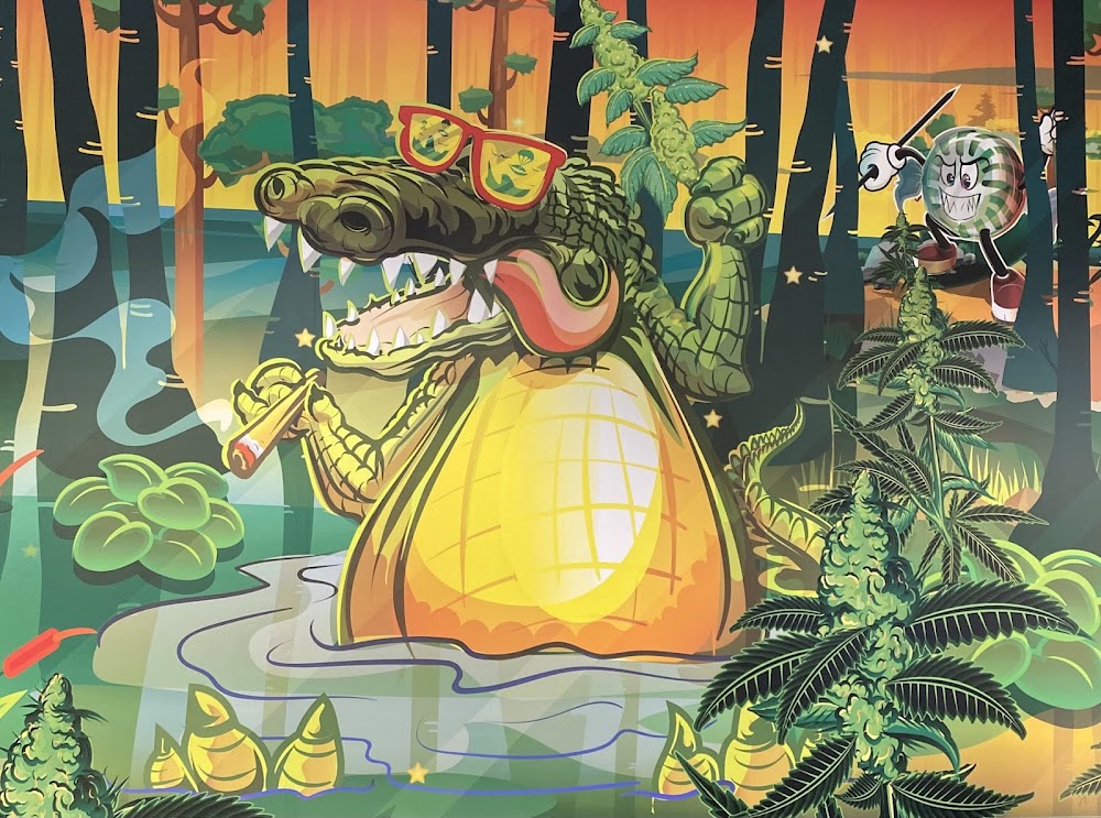 Jungle Boys photo 6