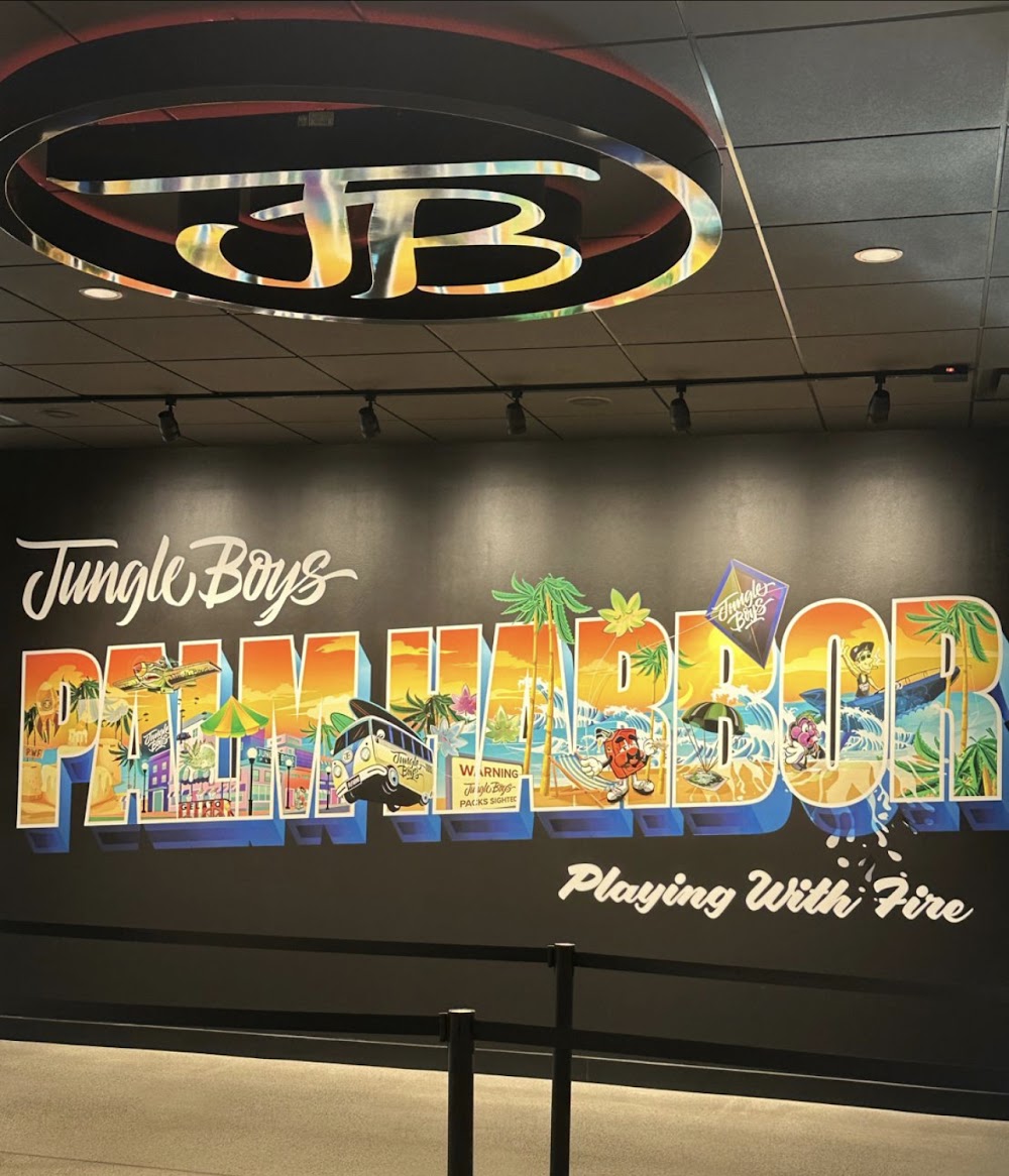 Jungle Boys photo 4