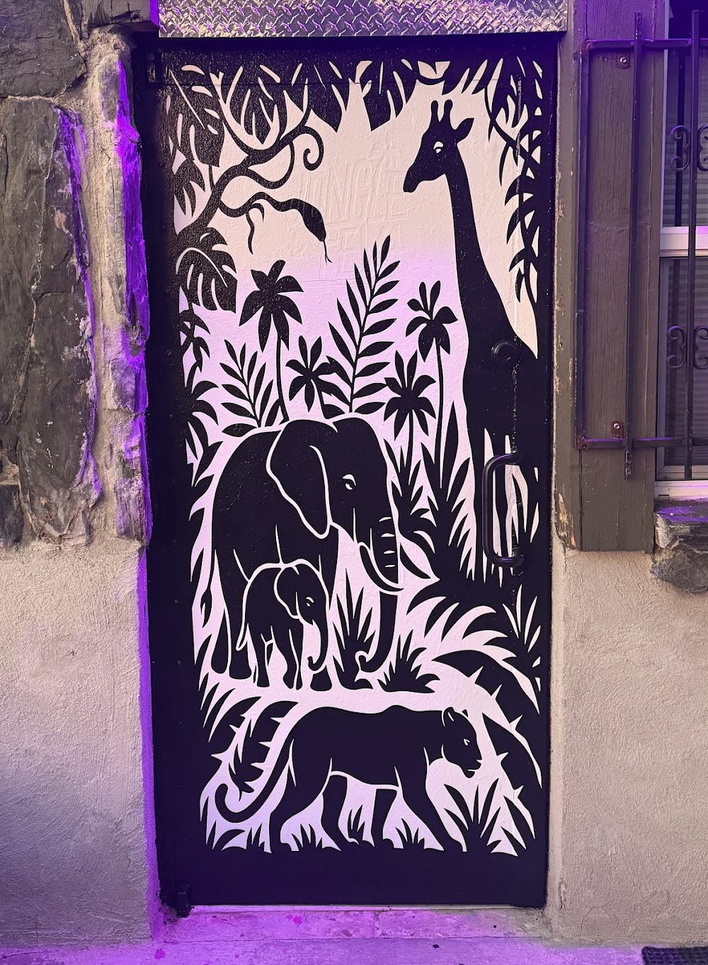 Jungle Feva photo 2