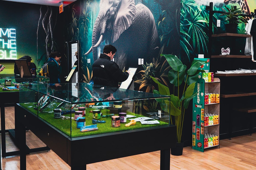 Jungle Kingdom Flower Company photo 2