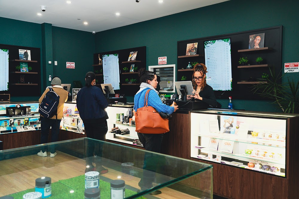 Jungle Kingdom Flower Company photo 3