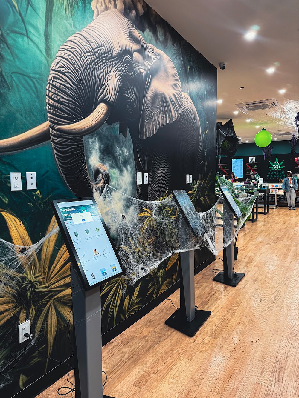 Jungle Kingdom Flower Company photo 7