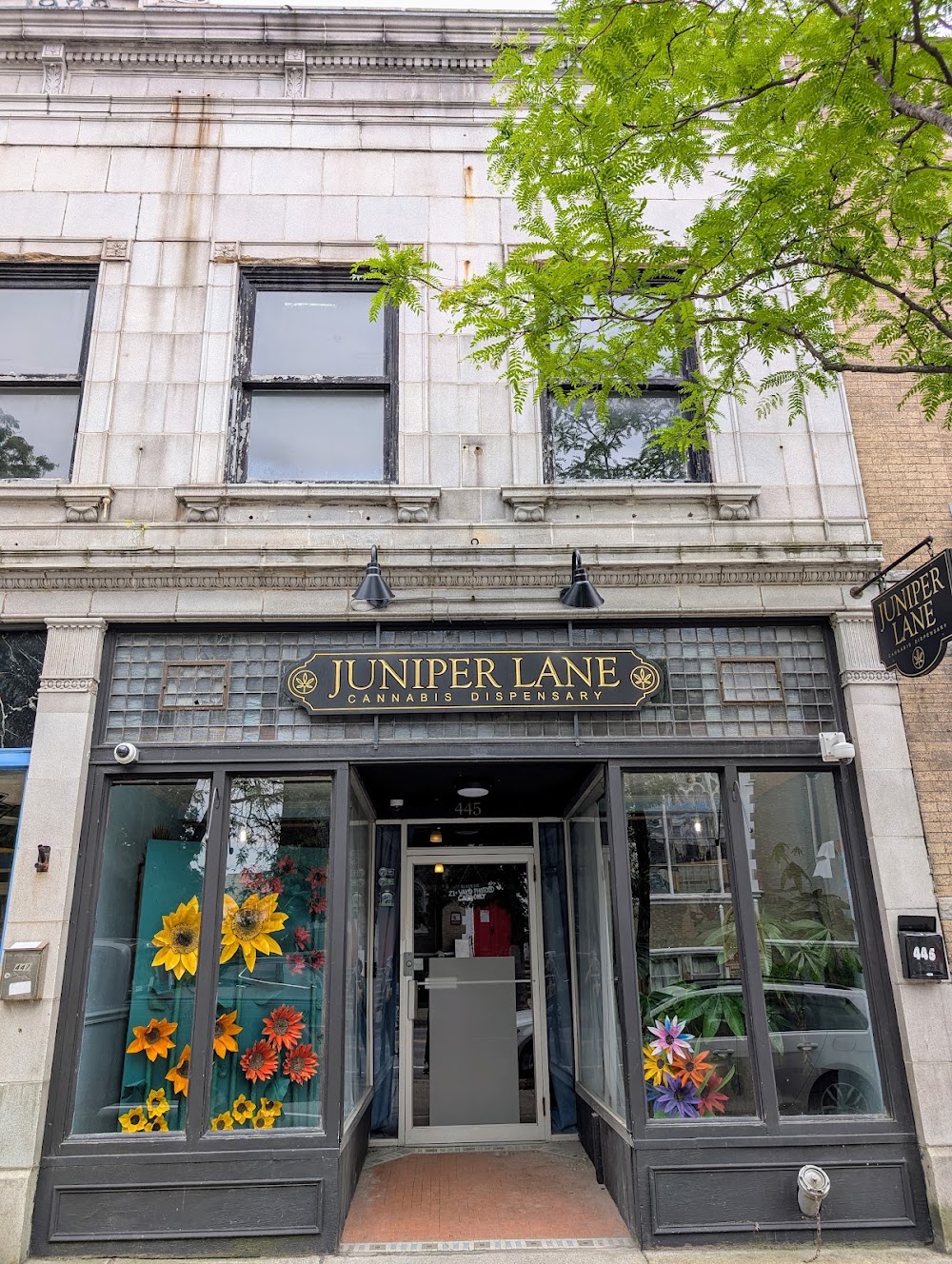 Juniper Lane photo 4