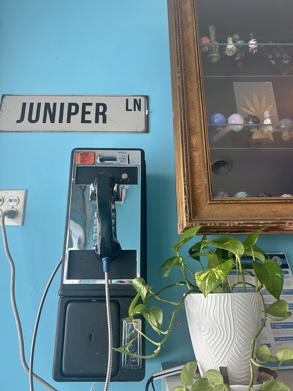 Juniper Lane photo 3