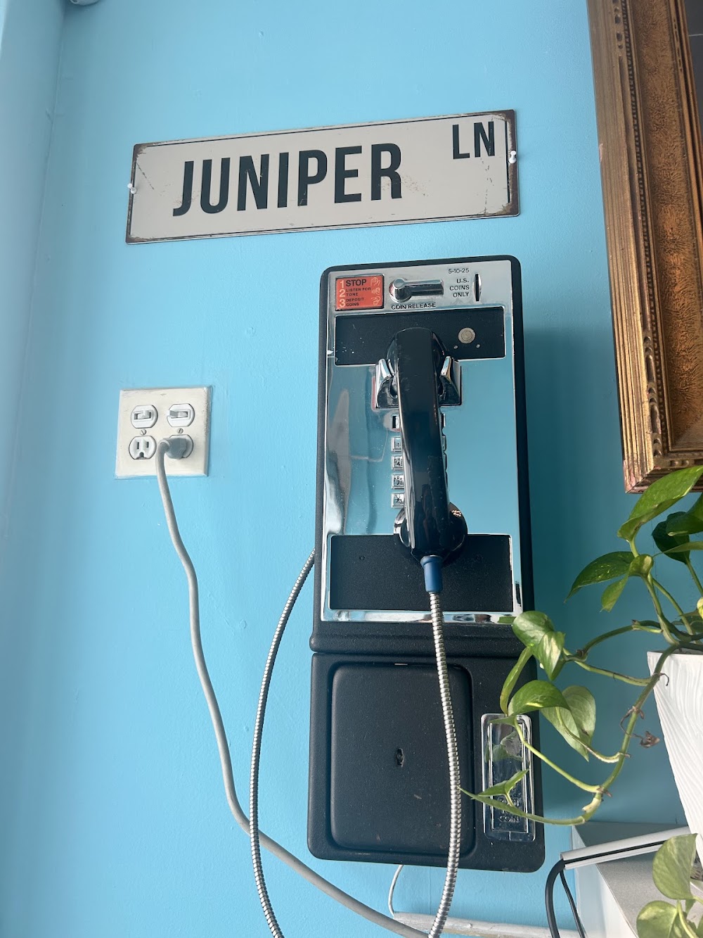 Juniper Lane photo 4