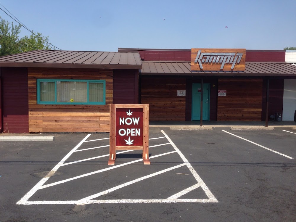Kanopy 7 photo 1