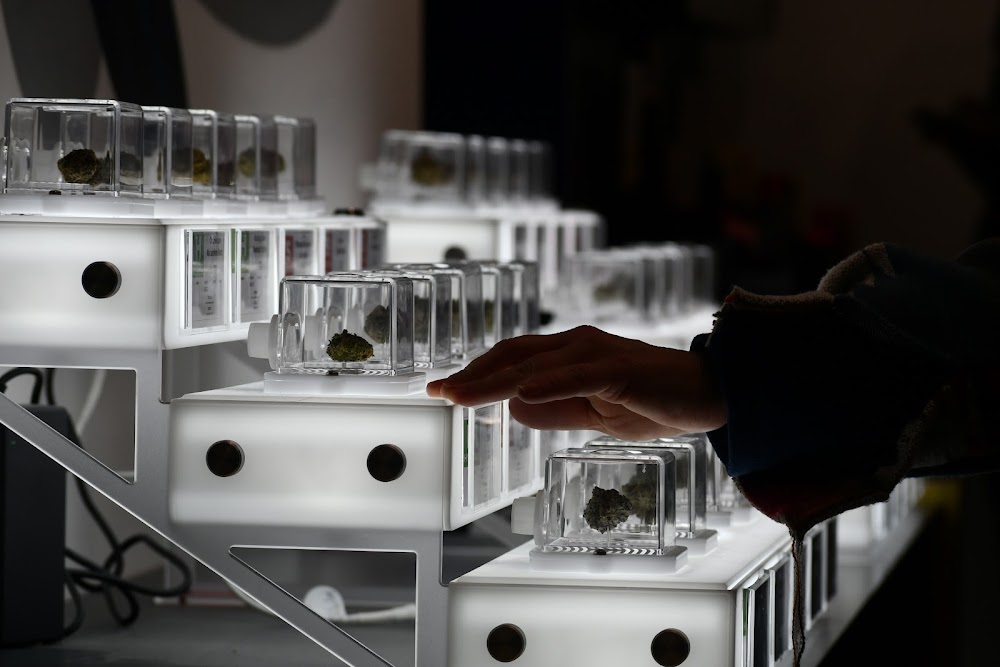 Kaya Bliss Dispensary photo 5