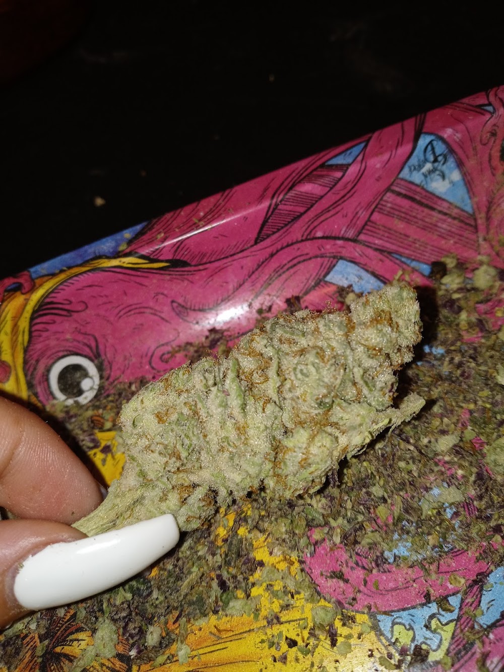 Kaya Cannabis photo 7