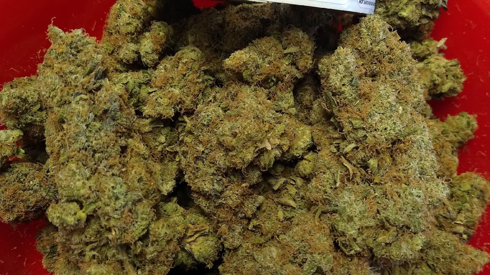 Ketama Dispensary photo 2