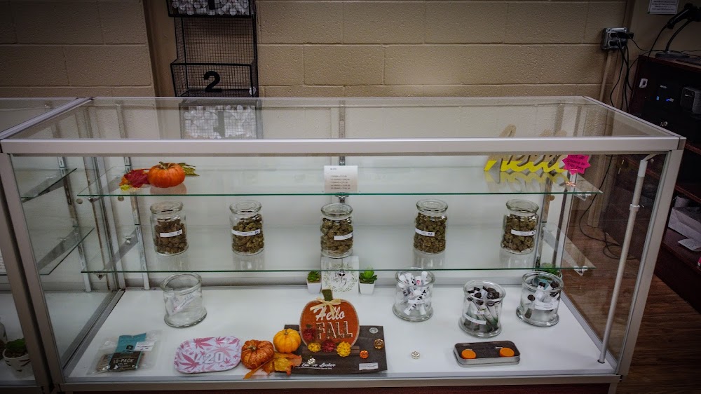 Keystone Alternative Medicine photo 8
