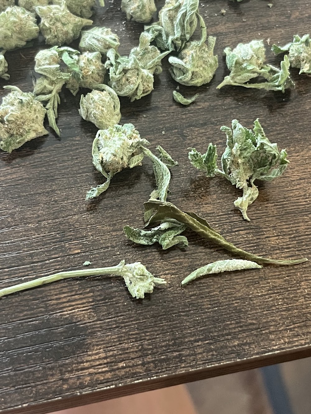 Kind Goods Cannabis Dispensary, Kind Goods photo 6