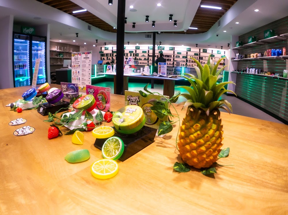 Kindly photo 5