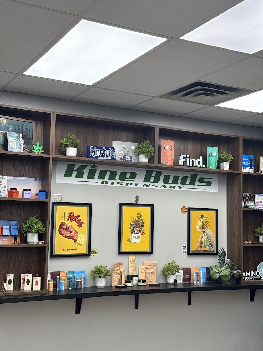 Kine Buds Maywood photo 7