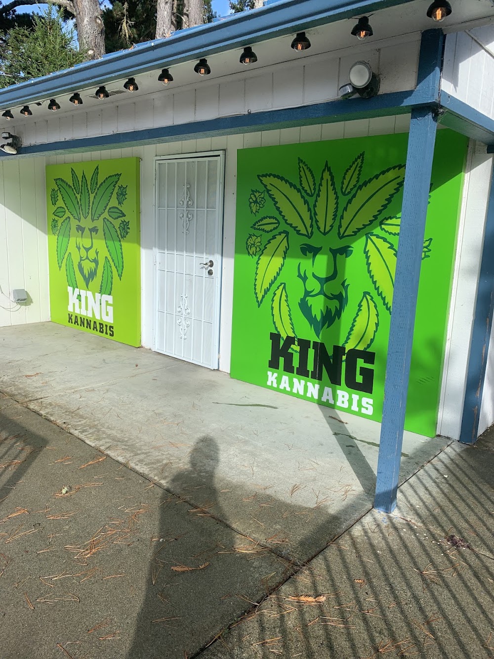 King Kannabis photo 1