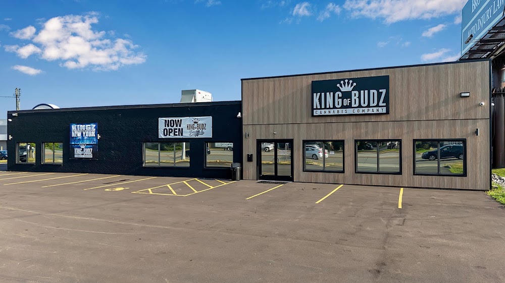 King Of Budz photo 1