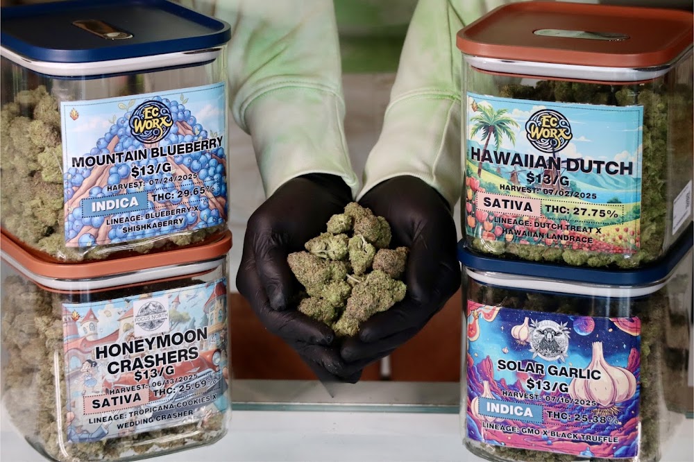 Kingston Cannabis Company photo 2