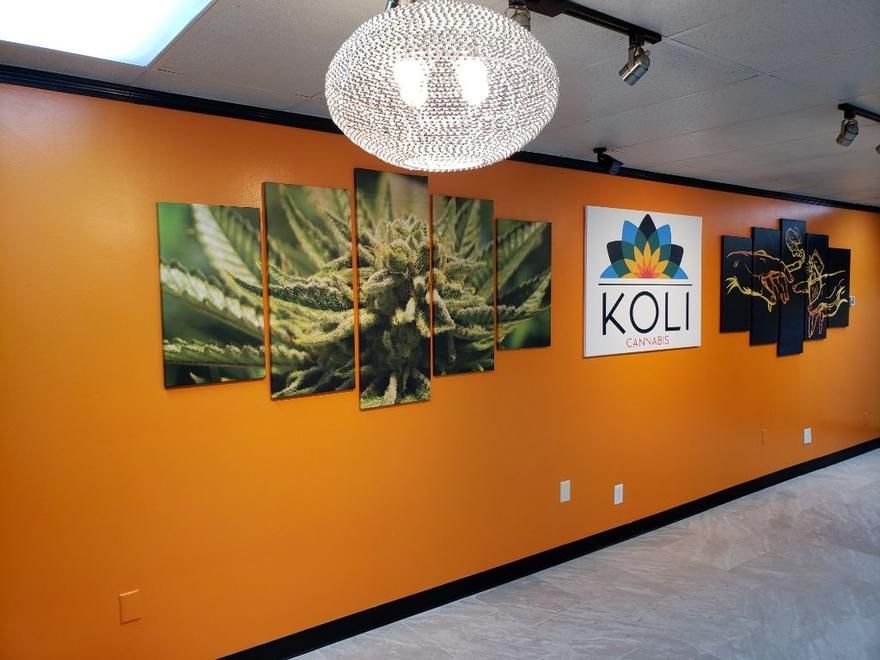 Koli Cannabis - West photo 3