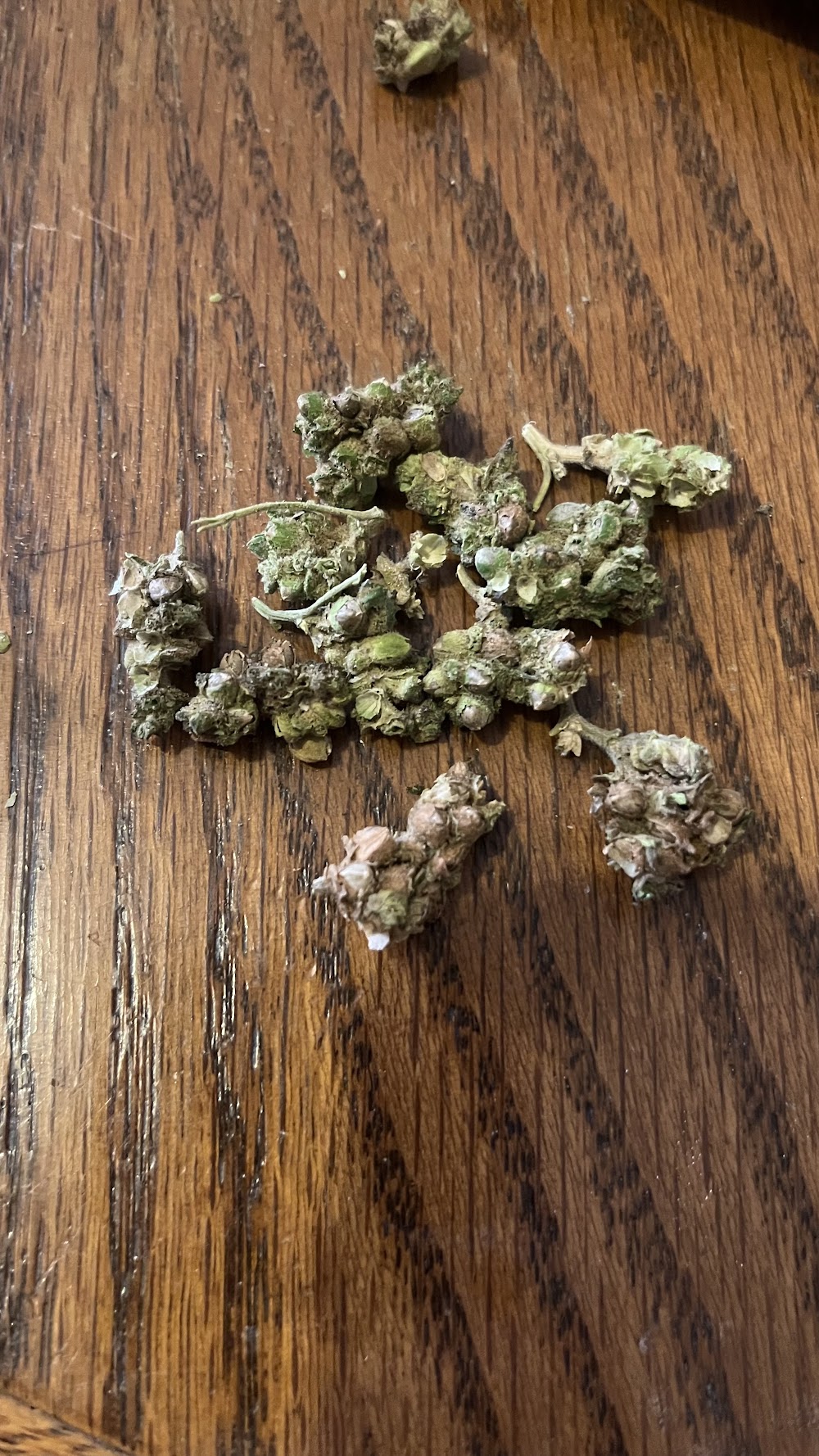 Kush Gardens - Guymon photo 7