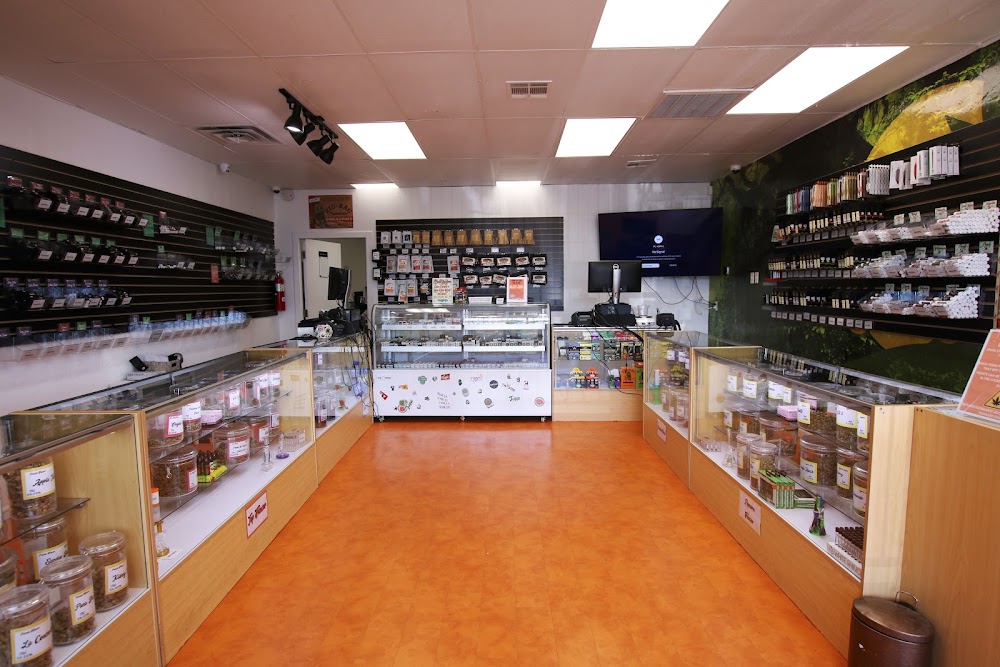 Kush Gardens - Rockwell photo 2