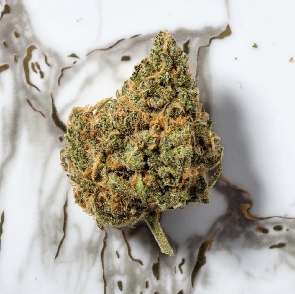 La Cannabis CO Est 2007 photo 7