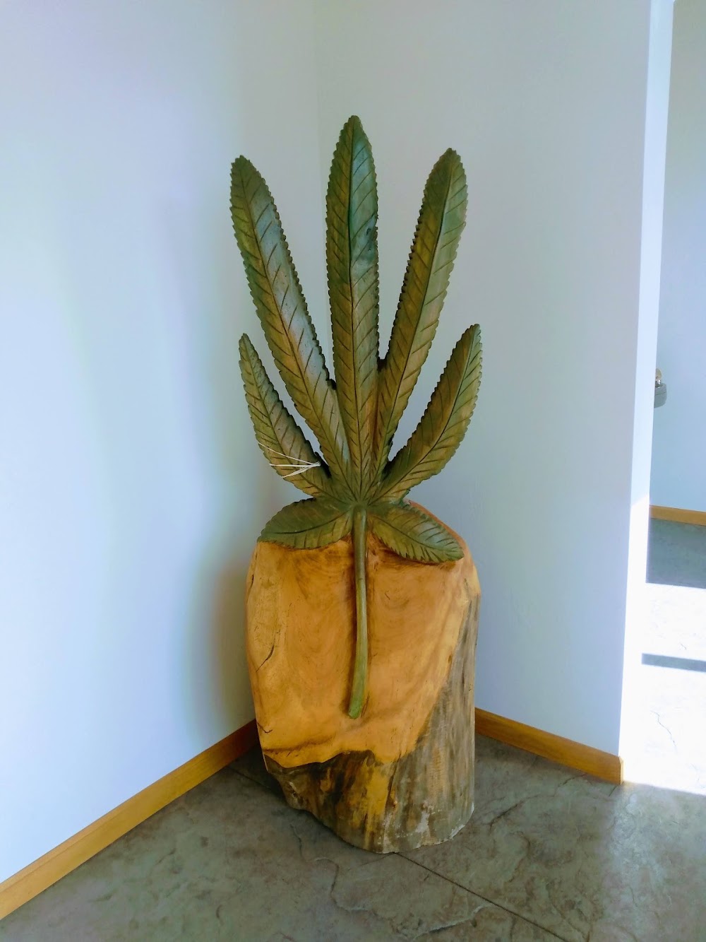 La Casa Canna Bis photo 5
