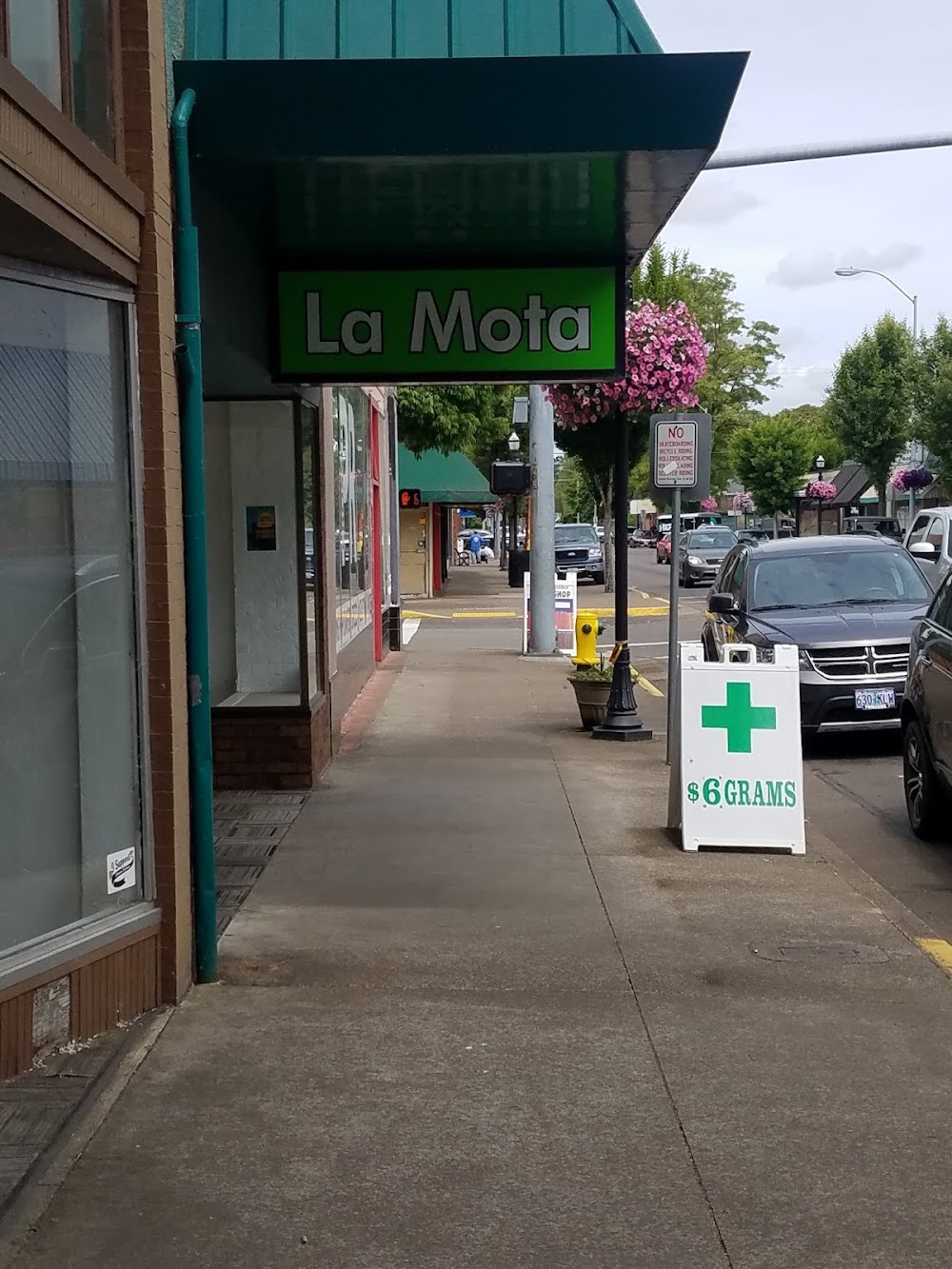La Mota photo 1