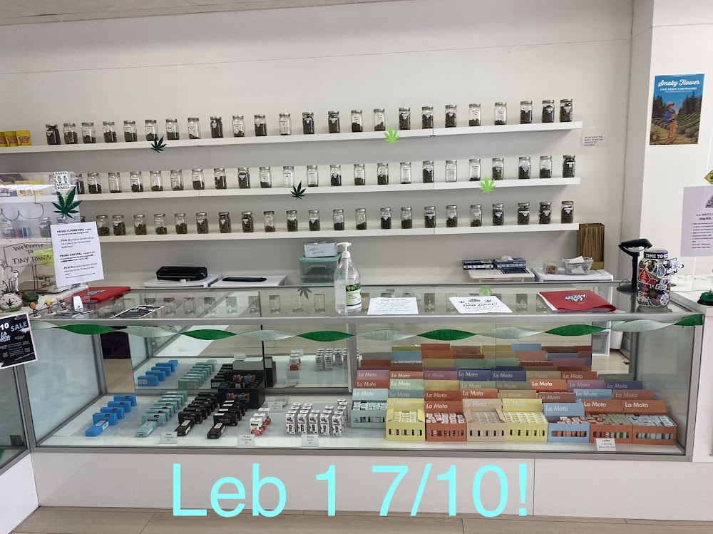 La Mota photo 8