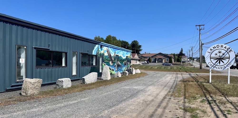 Landrace Cannabis CO photo 6