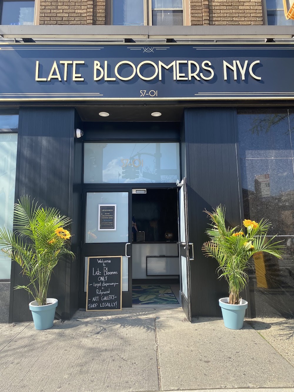 Late Bloomers Nyc photo 1