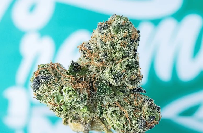 Lava Wellness Dispensary photo 5