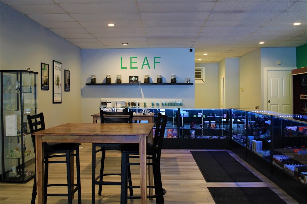Leaf & Fog photo 6
