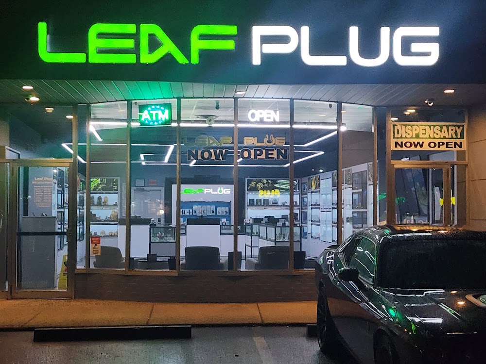 Leaf Plug photo 6
