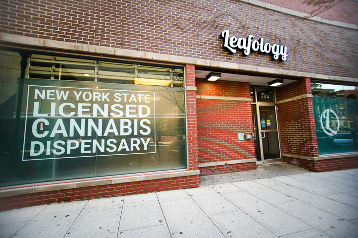 Leafology Cannabis Company photo 1